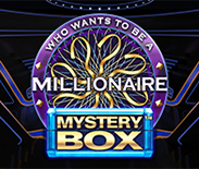 Millionaire Mystery Box